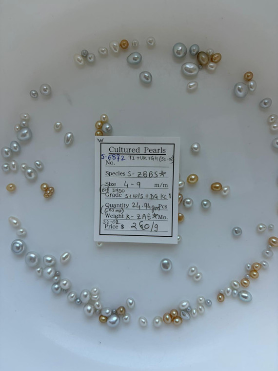 South Sea White - 4 - - 9mm - (BH) INDO S+W/S+DG KC 1 - <TAG> - S-6872