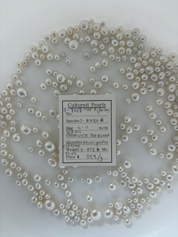 South Sea White - 4 - - 11mm - (BH) AUS WHITE TOP BU AAA - S-7017