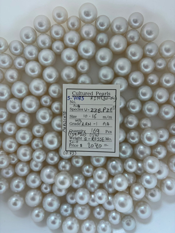 South Sea White - 10 - - 16mm - W/S R-RN -1 AA ( 1 / 2 ) - S-7085