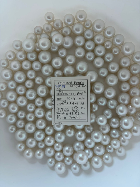 South Sea White - 10 - - 16mm - W/S R-RN -1 AA ( 1 / 2 ) - S-7086