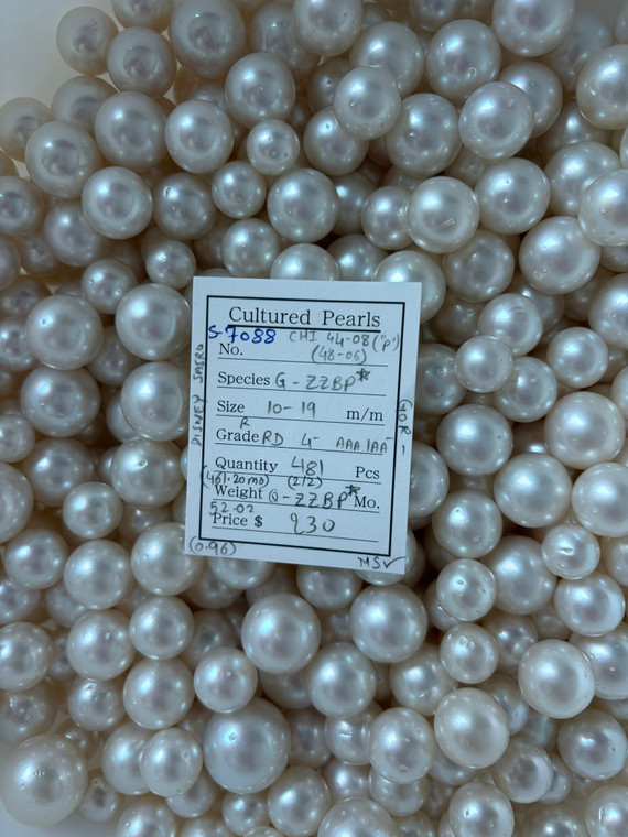 South Sea White - 10 - - 19mm - (R) RD 4- AAA/AA- ( 1 / 2 ) - S-7088