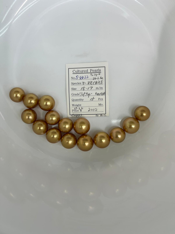 South Sea Dyed Gold - 15 - - 17mm - TOPTOP- GEM/AAA - <TAG> - S-4422