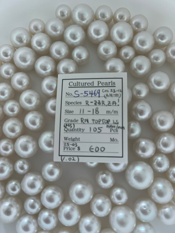 South Sea White - 11 - - 18mm - RN TOTOP LS (M3) - <TAG> - S-5469