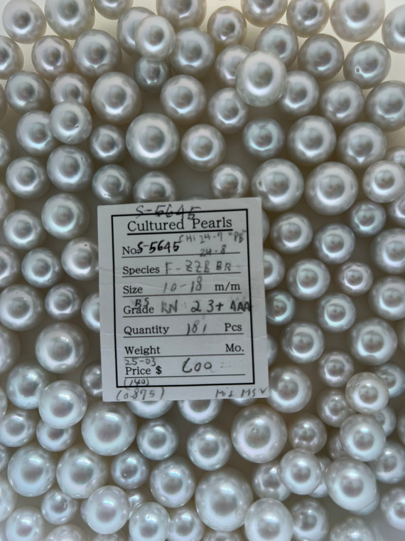 South Sea White - 10 - - 18mm - BS RN 2-3+ AAA - <TAG> - S-5645