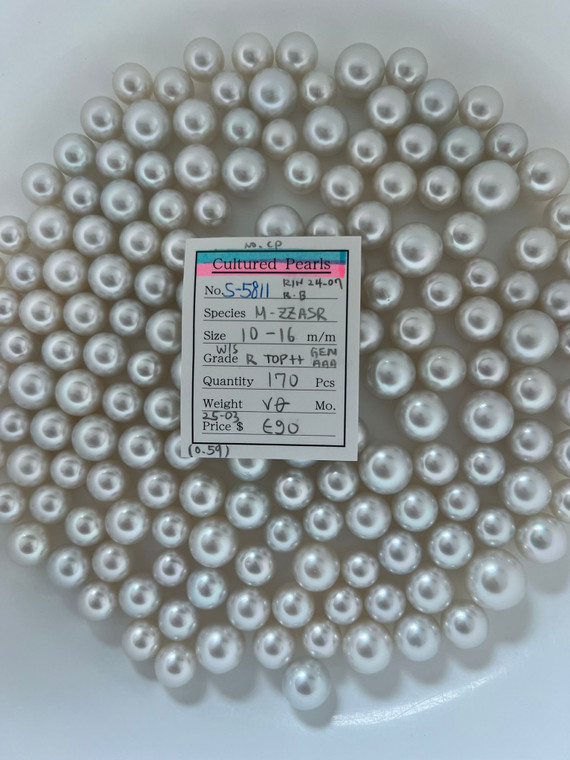 South Sea White - 10 - - 16mm - W/S R TOP+++ GEMAAA - <TAG> - S-5811