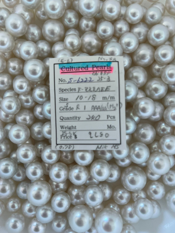 South Sea White - 10 - - 18mm - S R 1 AAA/AA (M2+) - <TAG> - S-6222