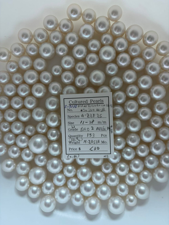 South Sea White - 11 - - 18mm - W SRD 2 AAA/AA M3+ - <TAG> - S-7110