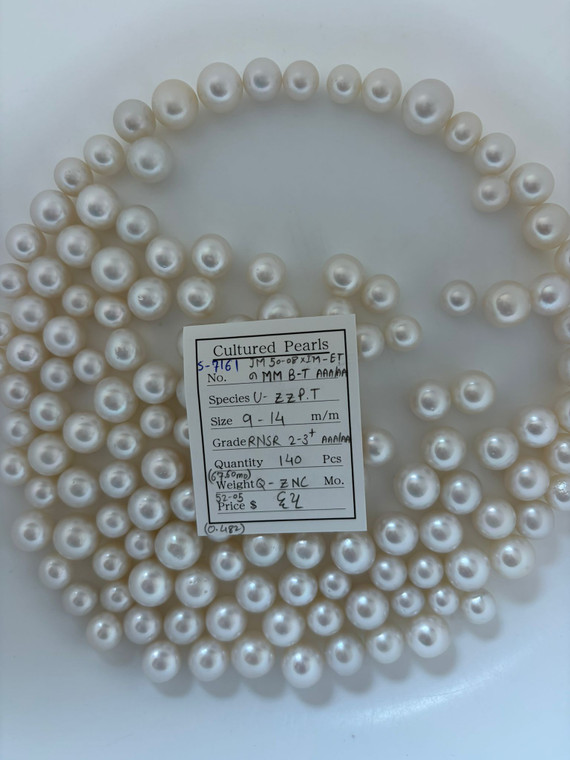 South Sea White - 9 - - 14mm - RNSR 2-3+ AAA/AA  - S-7161