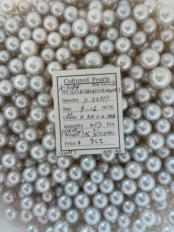 South Sea White - 9 - - 16mm - BS R-RN 1-2 AAA ( 2 / 2 ) - S-7184