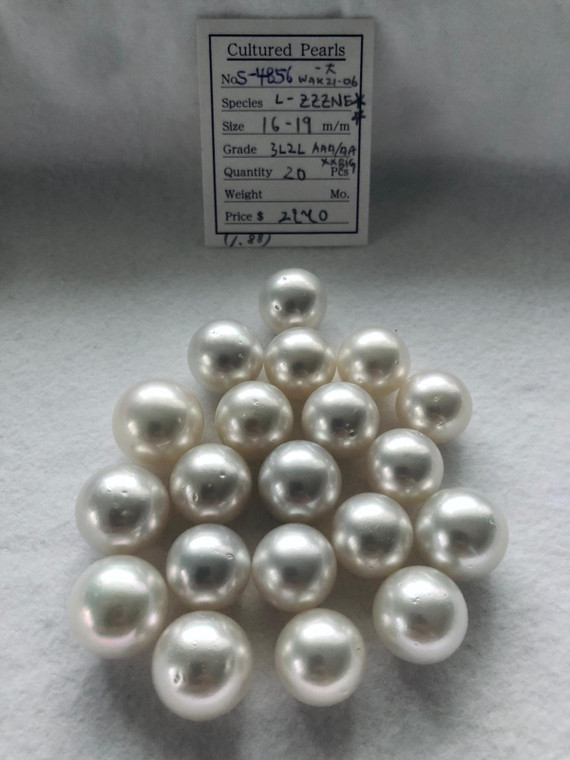 South Sea White - 16 - - 19mm - 3L2L AAA/AA XXBIG - S-4856