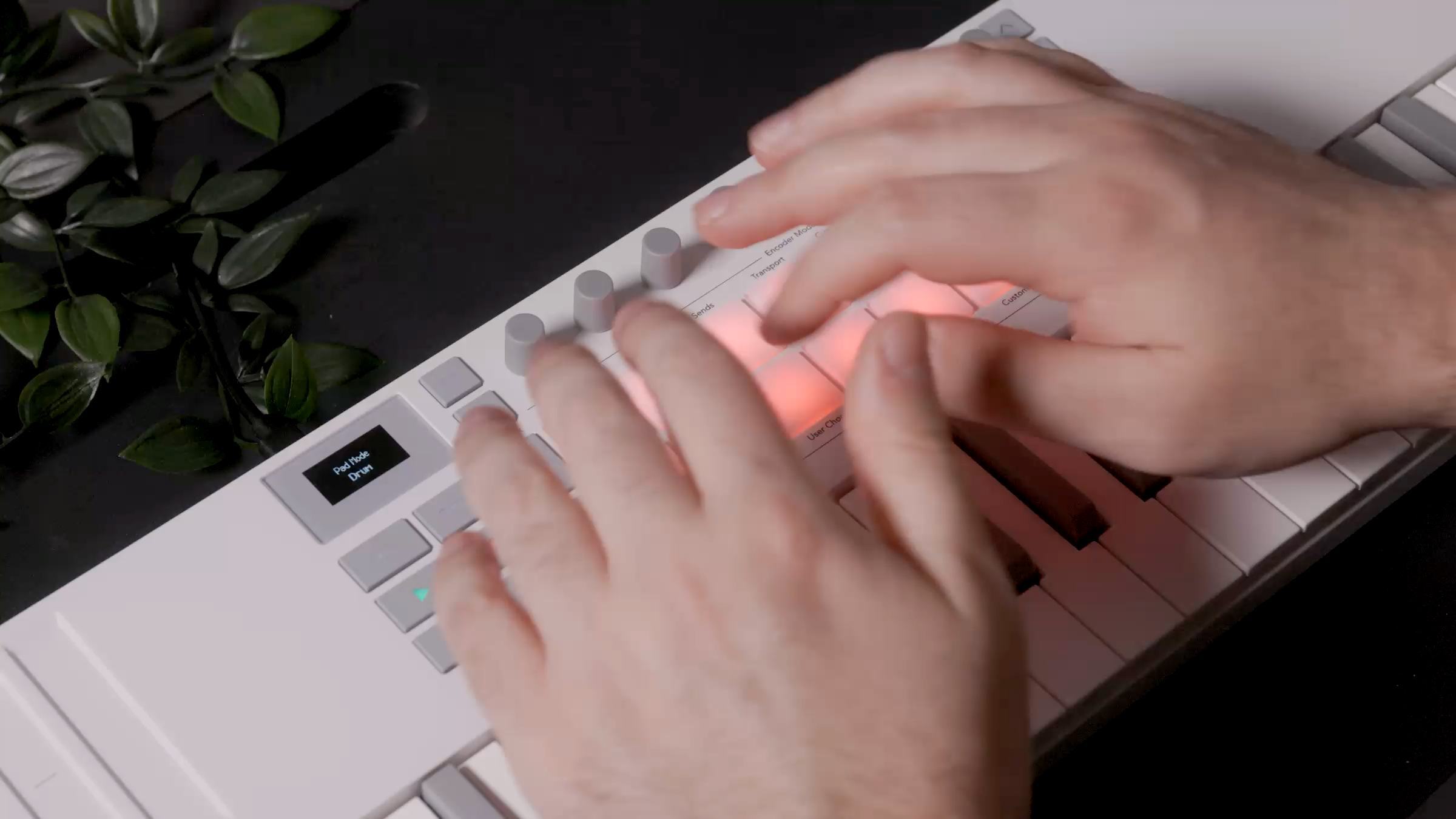 Launchkey Mini 37 White MK4 | Novation