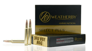 340 Weatherby Magnum TTSX