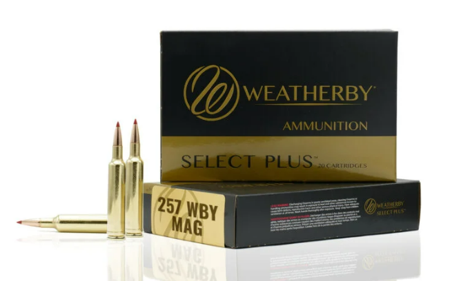 257 Weatherby Magnum TTSX