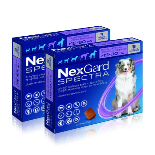 Nexgard Spectra Chews for Dogs 33.1-66 lbs (15.1-30 kg) - Purple 6