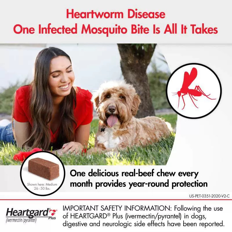 Heartgard Plus Chewables for Dogs 51-100 lbs (23-45 kg) Brown