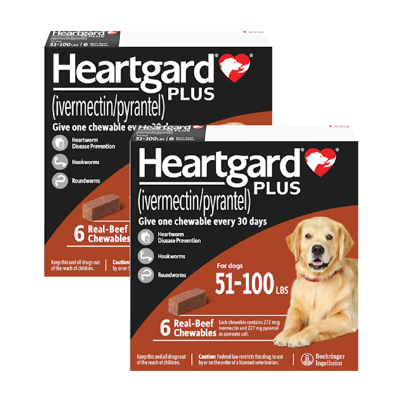 Stage Canine Heartworm Society Heartgard: Heartworm Prevention