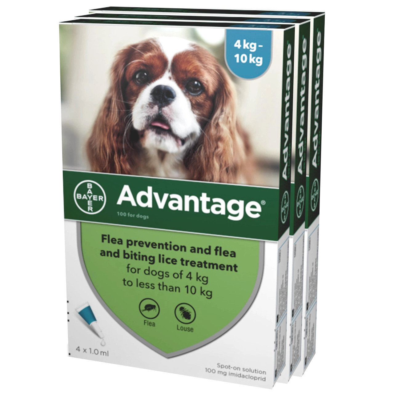 Flea Treatment Pet Meds For Less NexGard Flea Tablets For Dogs VioVet