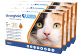 Stronghold PLUS for Medium Cats 5.5-11 lbs (2.5-5 kg) - Orange 12 Doses
