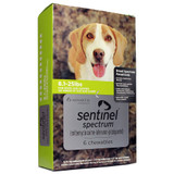 Sentinel Spectrum Chews for Dogs 8.1-25 lbs (4-11 kg) - Green 6 Chews