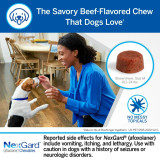 Nexgard Chews for Dogs 4-10 lbs (2-4 kg) - Orange 3 Chews Nexgard Chews for Dogs 4-10 lbs (2-4 kg) - Orange 3 Chews