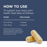PAW by Blackmores Osteosupport Capsules for Dogs - 150 Capsules