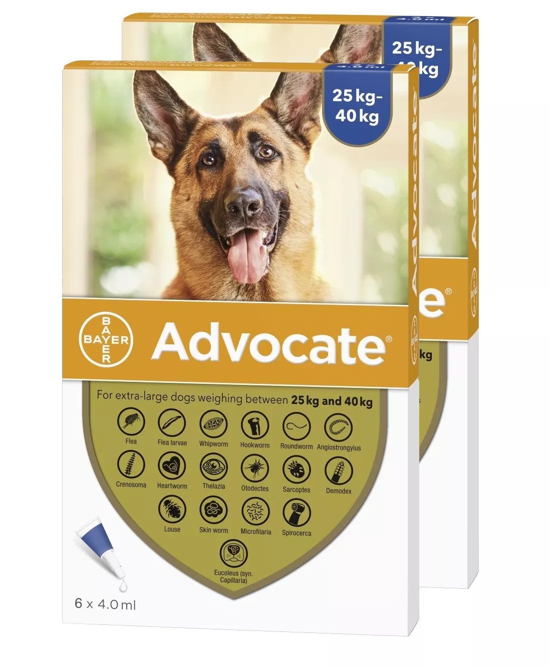 Advocate for Dogs over 55 lbs (over 25 kg) - Blue 12 Doses Front Packaging