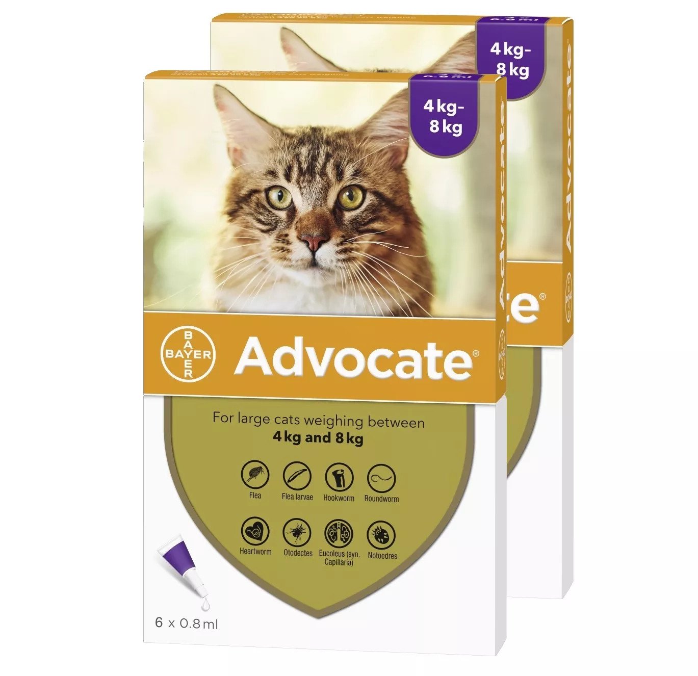 Advocate for Cats over 9 lbs (over 4 kg) - Purple 12 Doses Front Packaging
