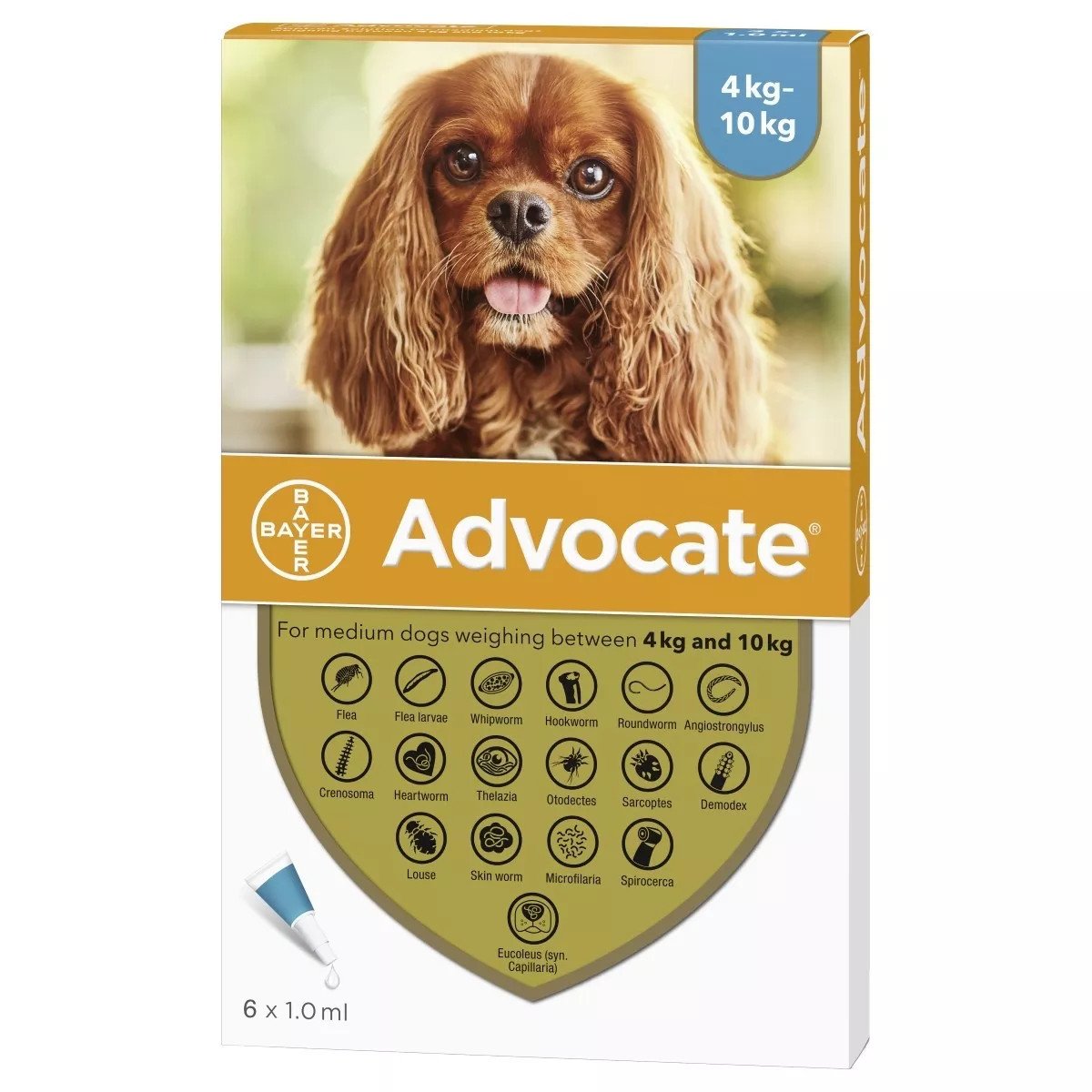 Advocate for Dogs 9-20 lbs (4.1-10 kg) - Aqua 6 Doses Front Packaging