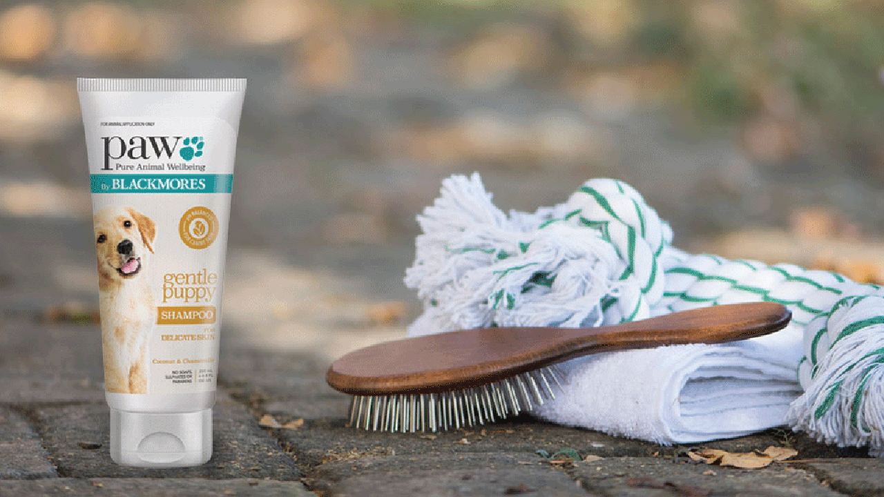  Dog Bathing: Finding the Right Frequency