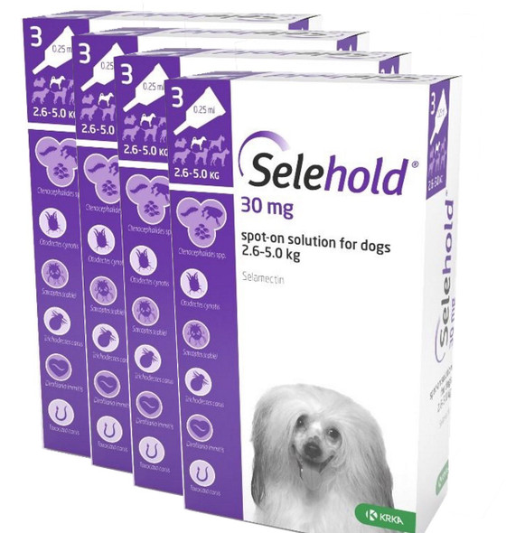 Selehold for Dogs 5.1-10 lbs (2.6-5 kg) - Purple 12 Doses