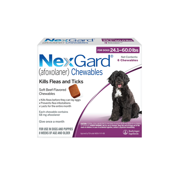 Nexgard Chews for Dogs 24.1-60 lbs (10.1-25 kg) - Purple 6 Chews