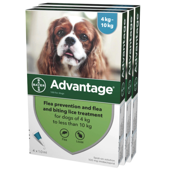 Advantage for Dogs 11-20 lbs (4.1-10 kg) - Aqua 12 Doses