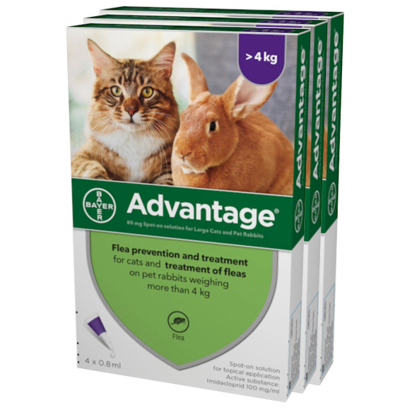Advantage for Cats over 9 lbs (over 4 kg) - Purple 12 Doses
