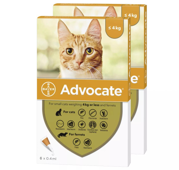 Advocate for Cats under 9 lbs (under 4 kg) - Orange 12 Doses Front Packaging