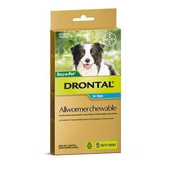 Drontal Allwormer Chews for Dogs up to 22 lbs (up to 10 kg) -  5 Chews