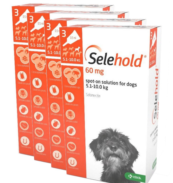 Selehold for Dogs 10.1-20 lbs (5.1-10 kg) - Orange 12 Doses