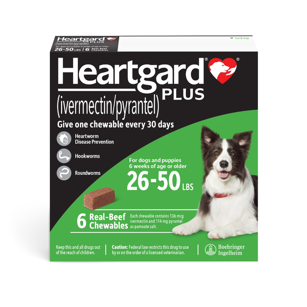 Heartgard Plus Chewables for Dogs 26-50 lbs (12-22 kg) - Green 6 Chews