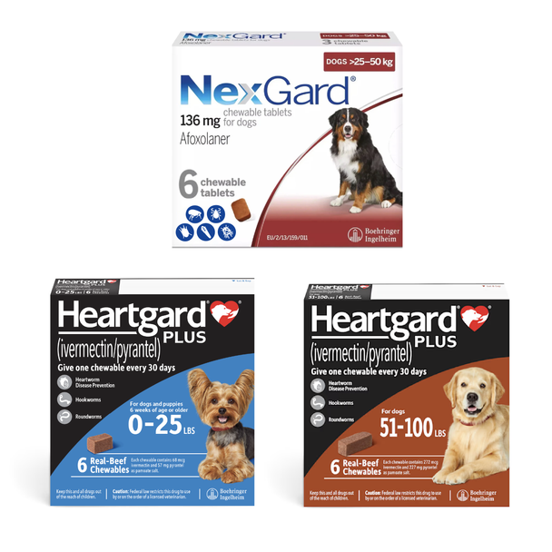 NexGard and Heartgard Combo for Dogs 100.1-121 lbs (45-60 kg) -  6 Month Bundle