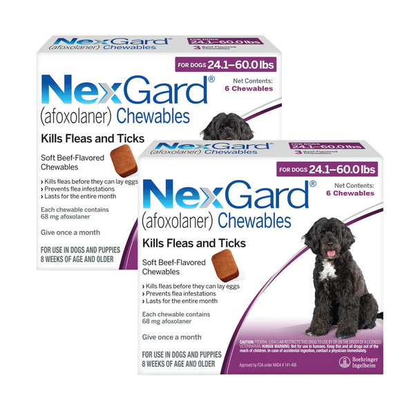 Nexgard Chews for Dogs 24.1-60 lbs (10.1-25 kg) - Purple 12 Chews