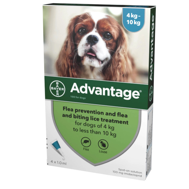 Advantage for Dogs 11-20 lbs (4.1-10 kg) - Aqua 4 Doses