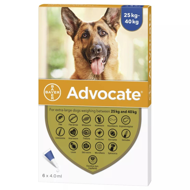 Advocate for Dogs over 55 lbs (over 25 kg) - Blue 6 Doses Front Packaging