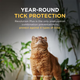 Revolution PLUS for Large Cats 11.1-22 lbs (5-10 kg) - Green 12 Doses