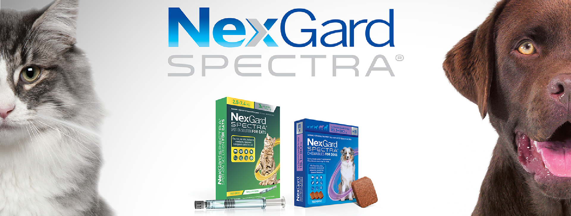 Nexgard flea, tick & worming protection for cats and dogs. 