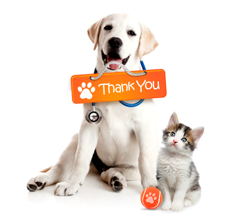 Thank you for visiting Discount Pet Medication where we always provide the best value with great service