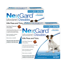 Nexgard Chews for Dogs 10.1-24 lbs (4.1-10 kg) - Blue 9 Chews