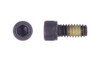 1/4"-28 x 1/2" Socket Head Cap Screw with Nylon Patch, Alloy Steel, Thermal Black Oxide - FT (Package of 100)