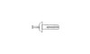 1/4 x 3/4" Nylon/Nylon Mushroom Head Drive Pin Rivet (Box of 1000)