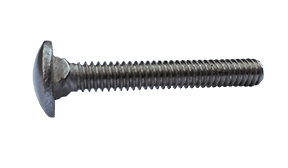 1/4"-20 x 3/4" Carriage Bolt 18-8 Stainless Steel - FT (Box of 1,000)