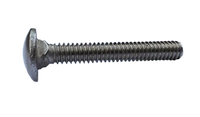 1/4"-20 x 1" Carriage Bolt 18-8 Stainless Steel - FT (Box of 1,000)