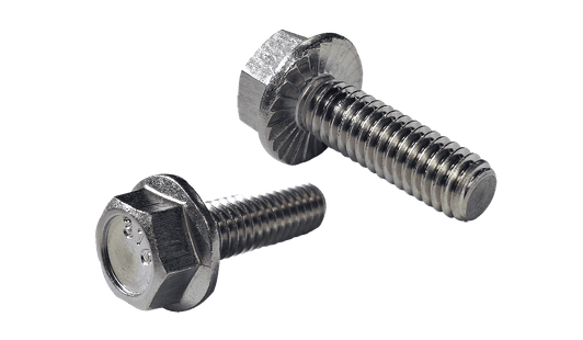1/4"-20 x 1/2" Serrated Flange Bolt, 316 Stainless Steel (Box of 1,000)